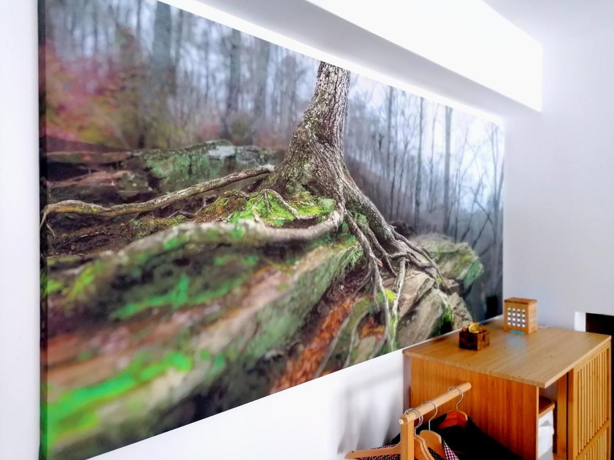 Wooden Touch Studio ブラショフ エクステリア 写真
